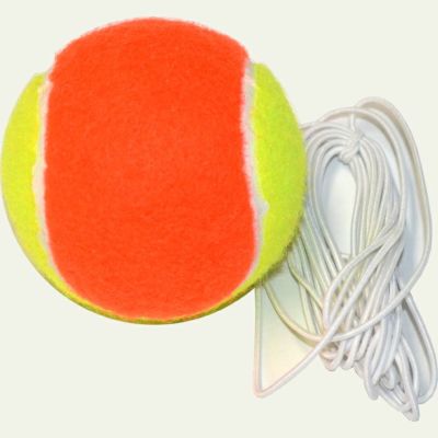 テニスヒット（Tennis Hit）【硬式テニス練習器】 | ウィニング